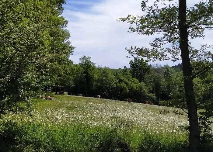 carazen , caravane chauffée