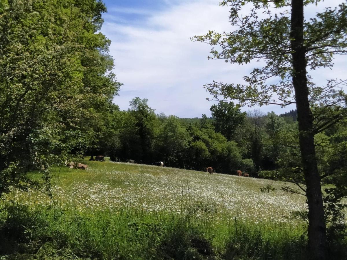 Carazen , Caravane Chauffée Camping *